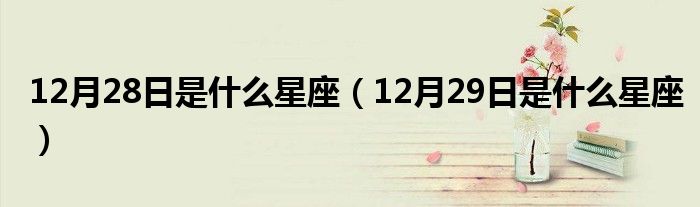 12月28日是什么星座（12月29日是什么星座）