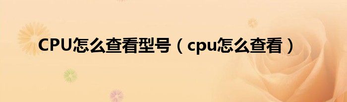 CPU怎么查看型号（cpu怎么查看）