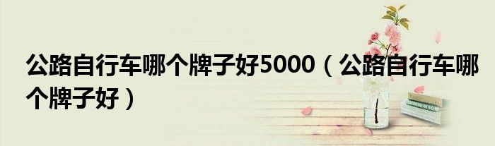 公路自行车哪个牌子好5000（公路自行车哪个牌子好）