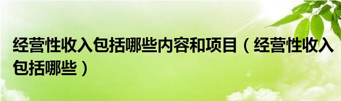 经营性收入包括哪些内容和项目（经营性收入包括哪些）