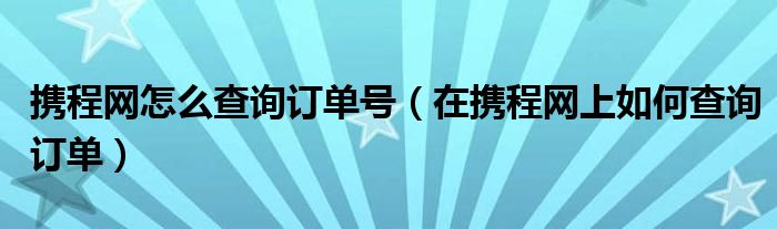 携程网怎么查询订单号（在携程网上如何查询订单）