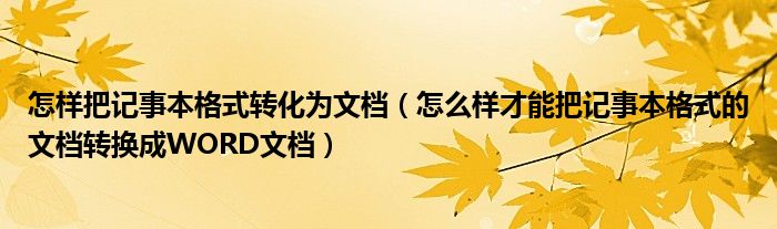 怎样把记事本格式转化为文档（怎么样才能把记事本格式的文档转换成WORD文档）