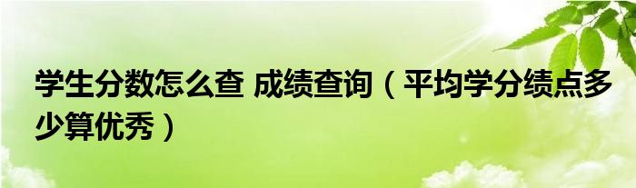 学生分数怎么查 成绩查询（平均学分绩点多少算优秀）