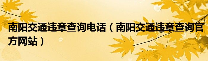 南阳交通违章查询电话（南阳交通违章查询官方网站）