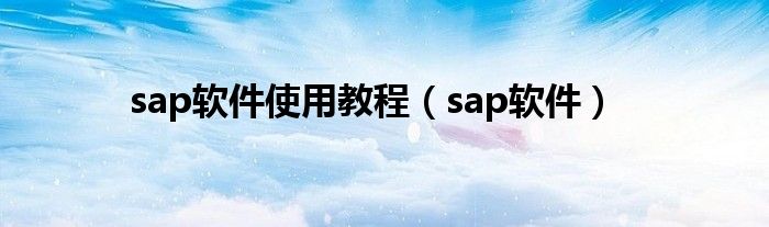 sap软件使用教程（sap软件）