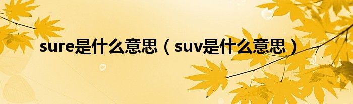 sure是什么意思（suv是什么意思）