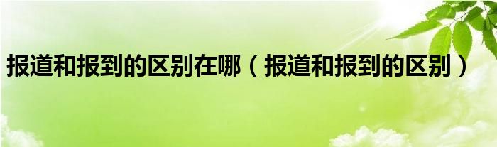 报道和报到的区别在哪（报道和报到的区别）