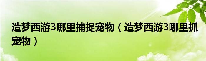 造梦西游3哪里捕捉宠物（造梦西游3哪里抓宠物）