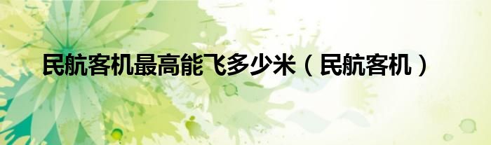 民航客机最高能飞多少米（民航客机）