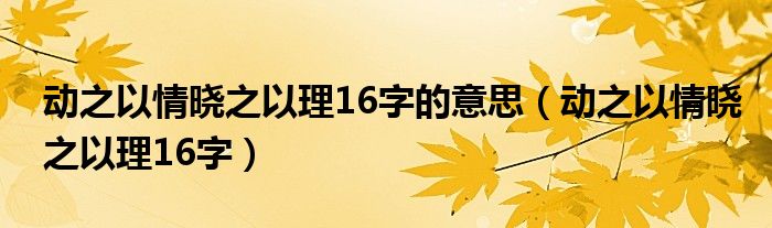 动之以情晓之以理16字的意思（动之以情晓之以理16字）