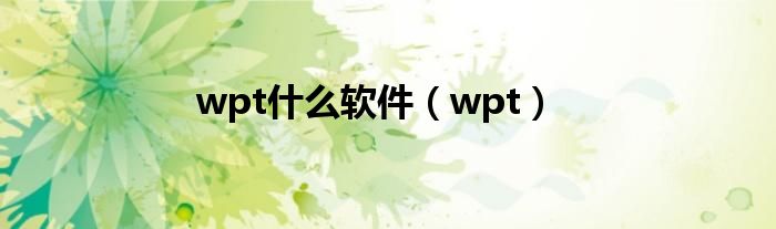 wpt什么软件（wpt）