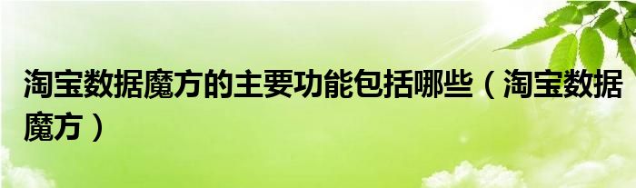 淘宝数据魔方的主要功能包括哪些（淘宝数据魔方）