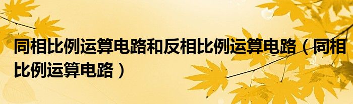 同相比例运算电路和反相比例运算电路（同相比例运算电路）