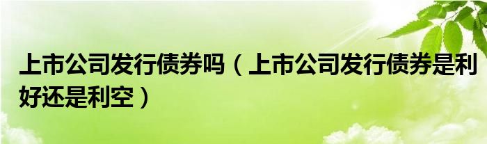 上市公司发行债券吗（上市公司发行债券是利好还是利空）