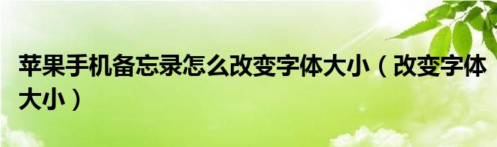 苹果手机备忘录怎么改变字体大小（改变字体大小）