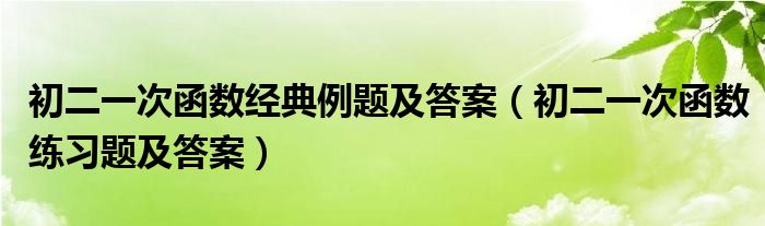 初二一次函数经典例题及答案（初二一次函数练习题及答案）