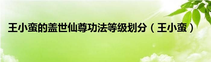 王小蛮的盖世仙尊功法等级划分（王小蛮）