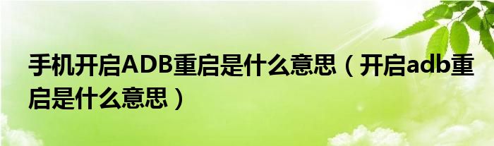 手机开启ADB重启是什么意思（开启adb重启是什么意思）