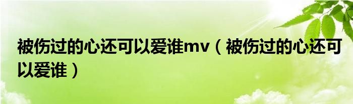 被伤过的心还可以爱谁mv（被伤过的心还可以爱谁）