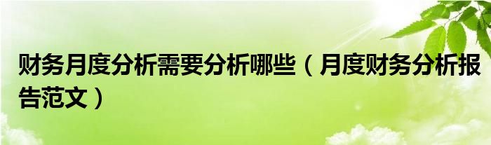 财务月度分析需要分析哪些（月度财务分析报告范文）