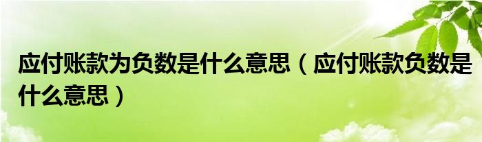 应付账款为负数是什么意思（应付账款负数是什么意思）