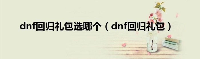 dnf回归礼包选哪个（dnf回归礼包）