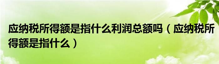 应纳税所得额是指什么利润总额吗（应纳税所得额是指什么）