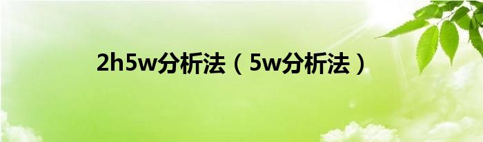 2h5w分析法（5w分析法）