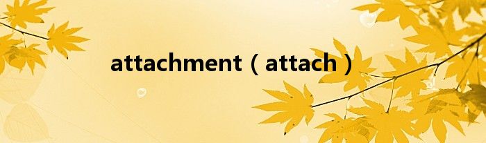 attachment（attach）