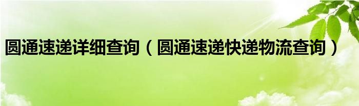 圆通速递详细查询（圆通速递快递物流查询）