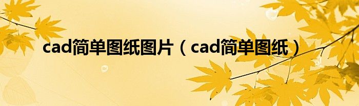 cad简单图纸图片（cad简单图纸）