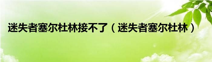 迷失者塞尔杜林接不了（迷失者塞尔杜林）