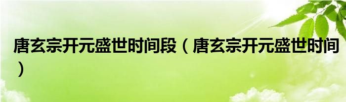 唐玄宗开元盛世时间段（唐玄宗开元盛世时间）