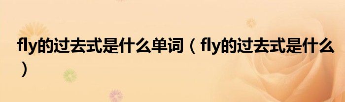 fly的过去式是什么单词（fly的过去式是什么）