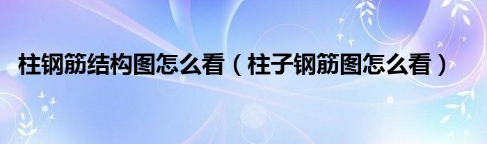 柱钢筋结构图怎么看（柱子钢筋图怎么看）