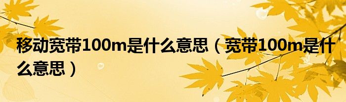 移动宽带100m是什么意思（宽带100m是什么意思）