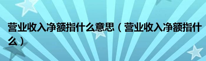 营业收入净额指什么意思（营业收入净额指什么）