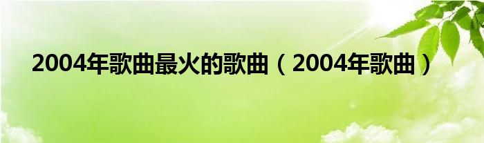 2004年歌曲最火的歌曲（2004年歌曲）