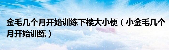 金毛几个月开始训练下楼大小便（小金毛几个月开始训练）