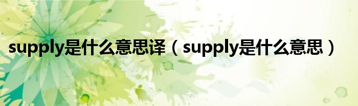 supply是什么意思译（supply是什么意思）