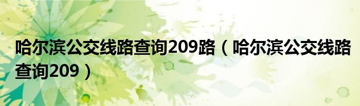 哈尔滨公交线路查询209路（哈尔滨公交线路查询209）