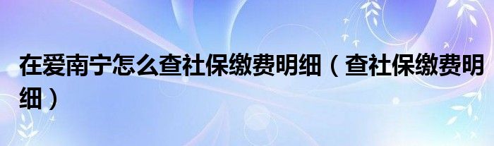 在爱南宁怎么查社保缴费明细（查社保缴费明细）