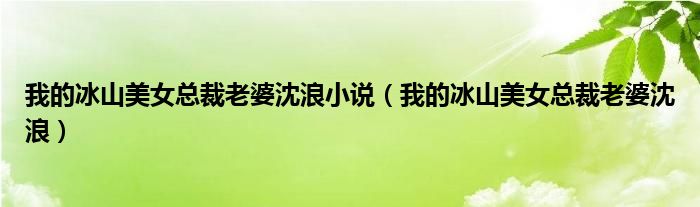 我的冰山美女总裁老婆沈浪小说（我的冰山美女总裁老婆沈浪）