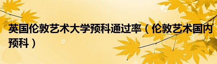 英国伦敦艺术大学预科通过率（伦敦艺术国内预科）