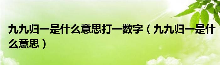 九九归一是什么意思打一数字（九九归一是什么意思）