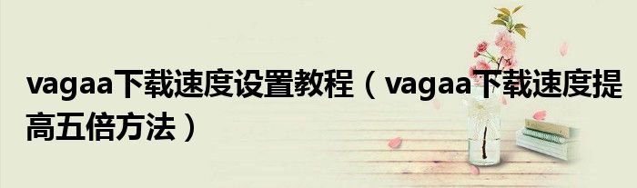 vagaa下载速度设置教程（vagaa下载速度提高五倍方法）