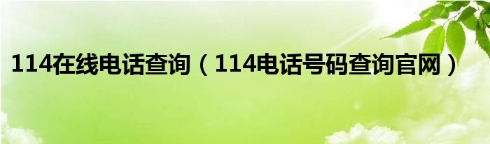 114在线电话查询（114电话号码查询官网）