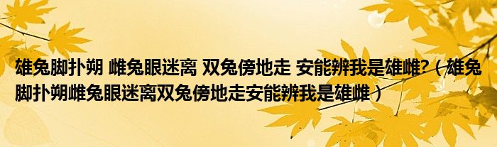 雄兔脚扑朔 雌兔眼迷离 双兔傍地走 安能辨我是雄雌?（雄兔脚扑朔雌兔眼迷离双兔傍地走安能辨我是雄雌）