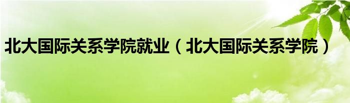 北大国际关系学院就业（北大国际关系学院）