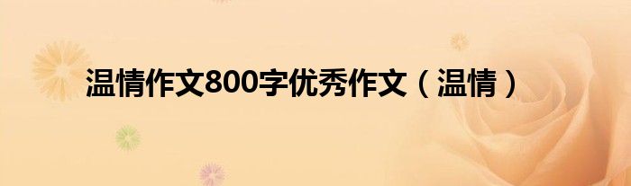 温情作文800字优秀作文（温情）